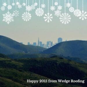 bay-area-happy-new-year-millvalley-marin_0